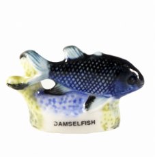 画像1: 【フェーブ】熱帯魚  DAMSELFISH (1)
