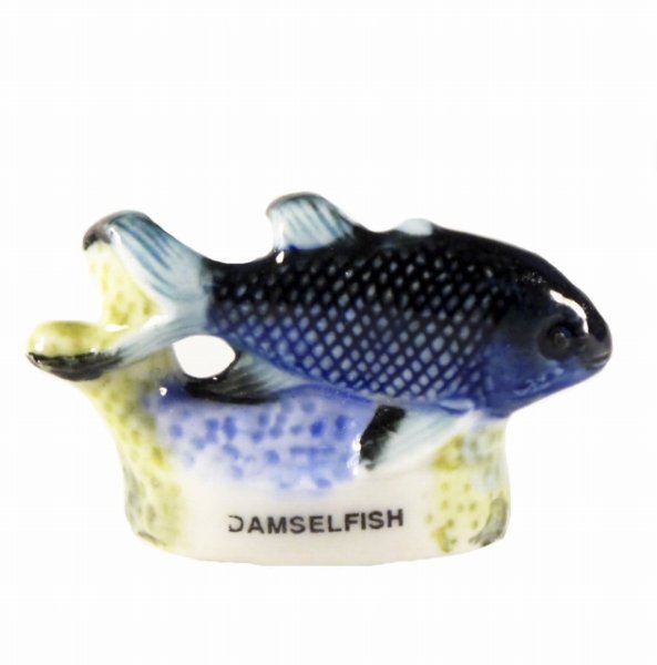 画像1: 【フェーブ】熱帯魚  DAMSELFISH (1)