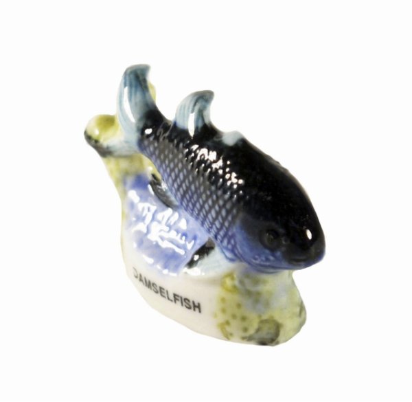 画像2: 【フェーブ】熱帯魚  DAMSELFISH (2)