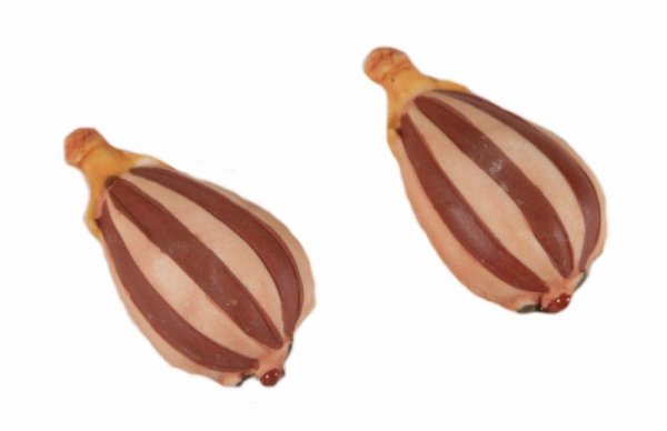 画像3: 【フェーブ】古楽器 (3)