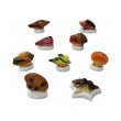 画像1: 【フェーブ】いろいろな貝 単品 (1)