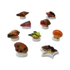 画像1: 【フェーブ】いろいろな貝 単品 (1)