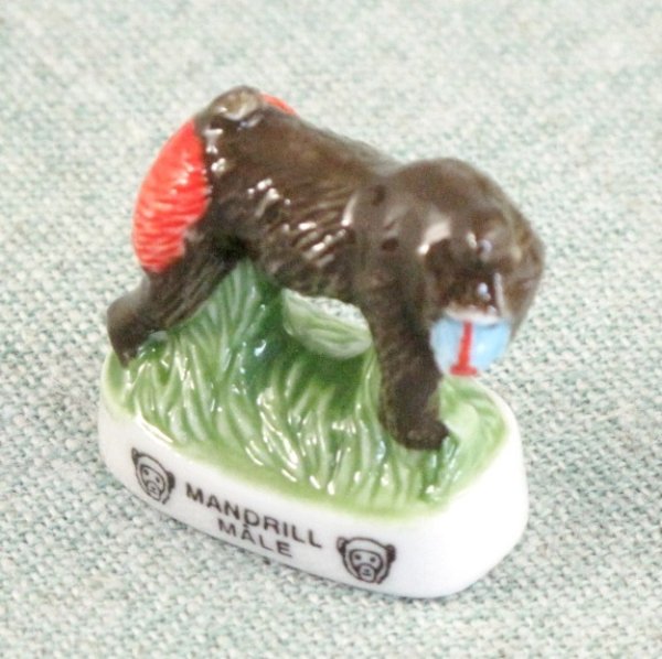 画像3: 【フェーブ】MANDRILL MALE - マンドリル (3)