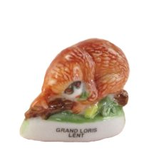 画像2: 【フェーブ】GRAND LORIS LENT ビッグスローロリス (2)