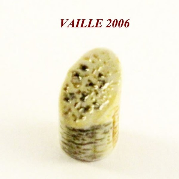 画像1: 【フェーブ】cheese チーズ - VAILLE 2006年 (1)