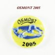 画像1: 【フェーブ】 OSMONT 2005年 yellow (M) (1)