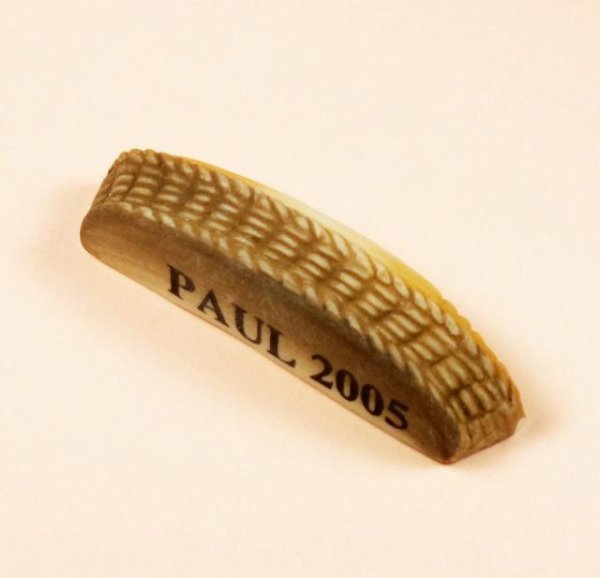 画像2: 【フェーブ】PAUL 2005年 ポール (M) (2)