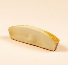 画像4: 【フェーブ】PAUL 2005年 ポール (M) (4)