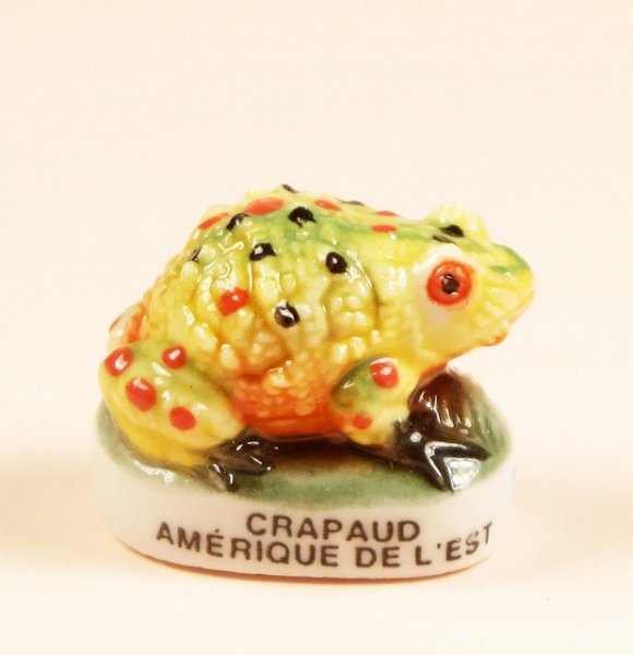 画像1: 【フェーブ】CRAPAUD AMERIQUE DE L'EST カエル (蛙) (1)