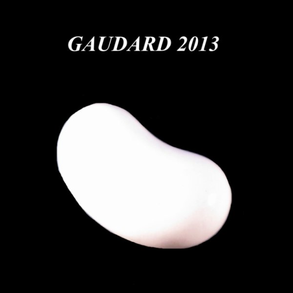 画像1: 【フェーブ】La feve haricot 豆-GAUDARD2013年 (M) (1)
