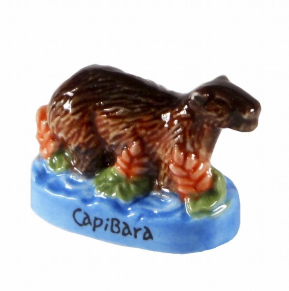 画像1: 【フェーブ】Capibara カピバラ-アマゾン (1)