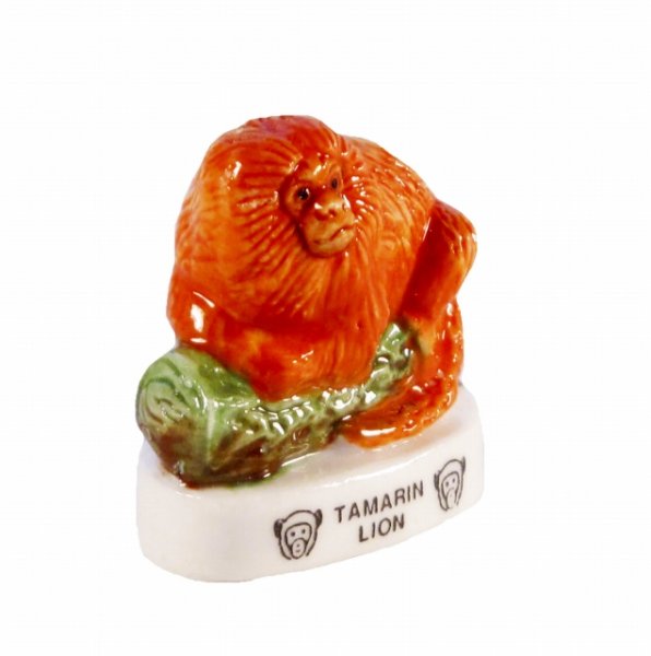 画像2: 【フェーブ】TAMARIN LION ライオンタマリン (2)