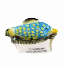 画像1: 【フェーブ】Oxymonacanthus longirostris カワハギ (1)