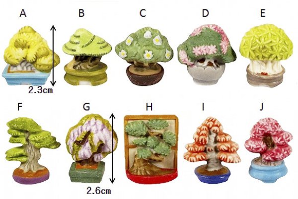 画像2: 【フェーブ】盆栽 10個 単品あり! - 2015年(S) (2)