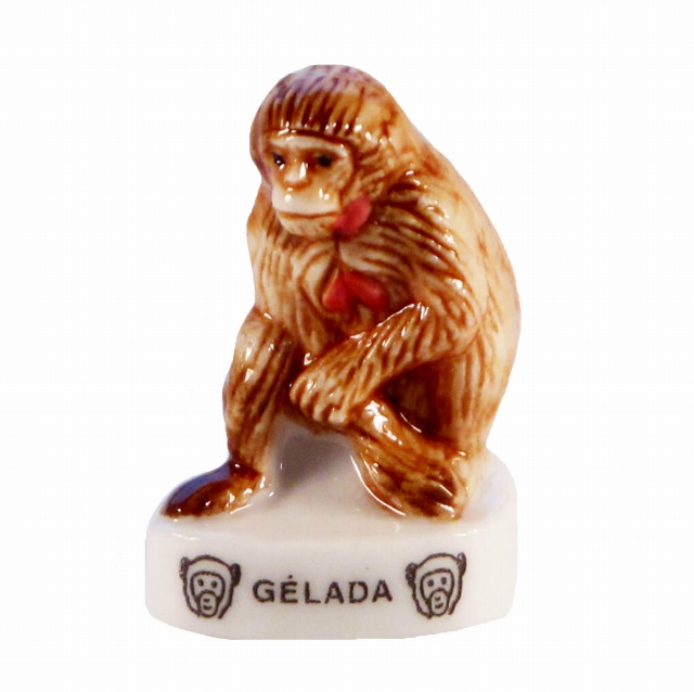 【フェーブ】GELADA ゲラダヒヒ